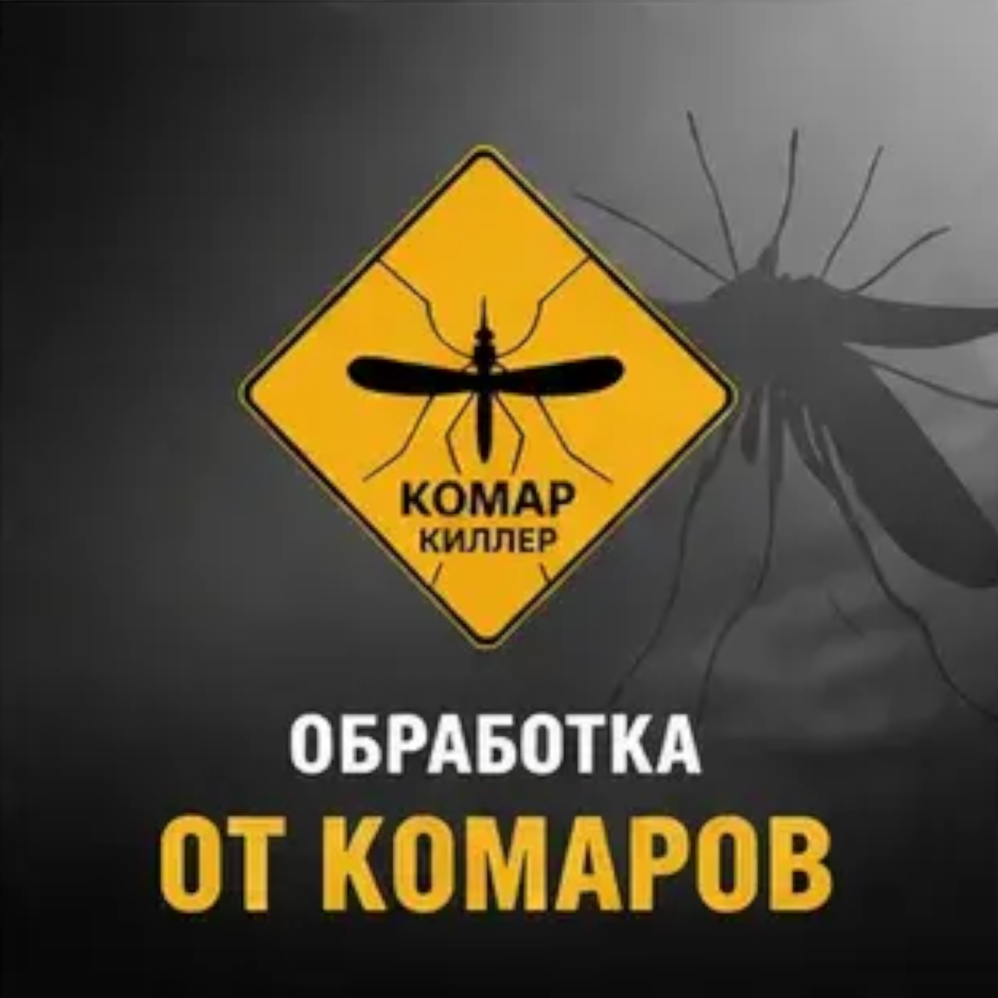 ОБРАБОТКА ОТ КОМАРОВ