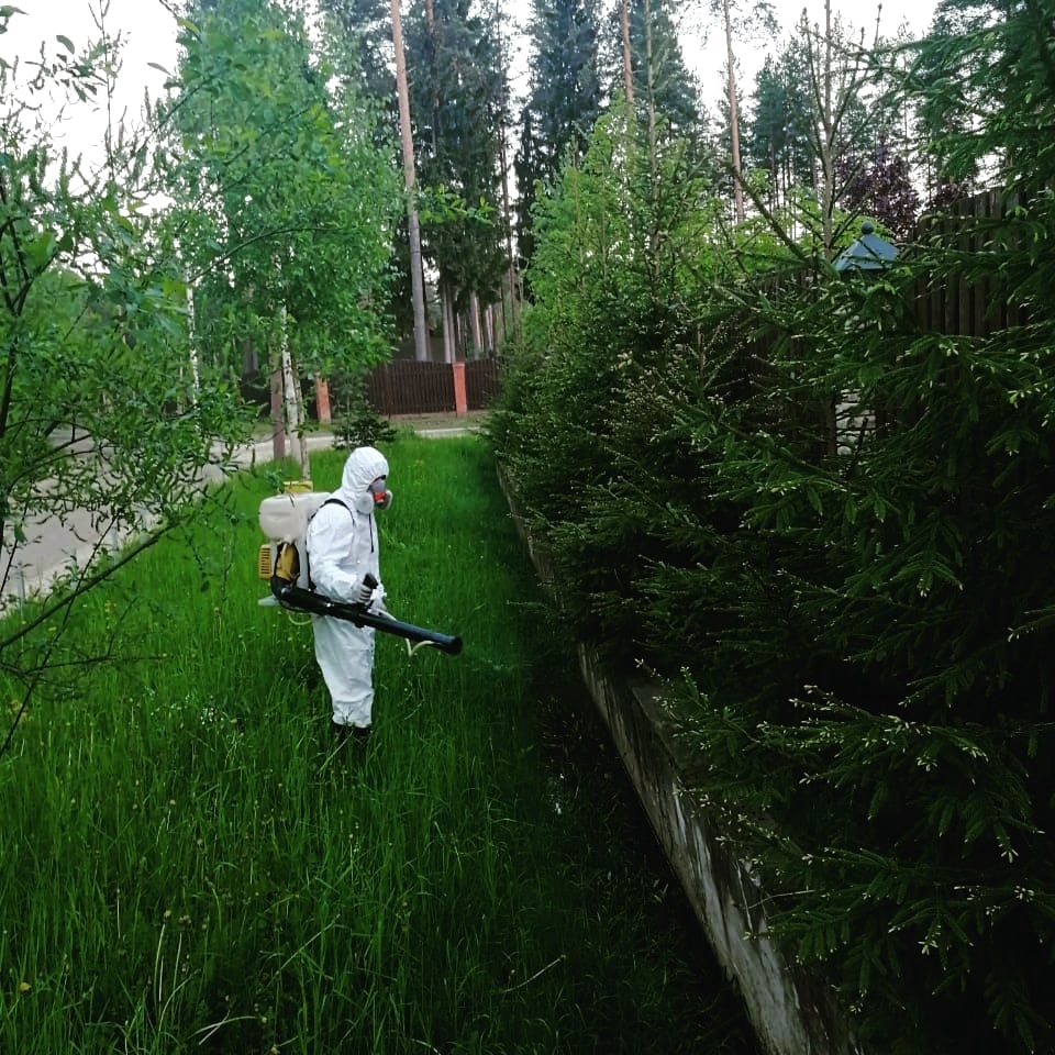 Результат обработки участка от клещей и комаров - объект №105